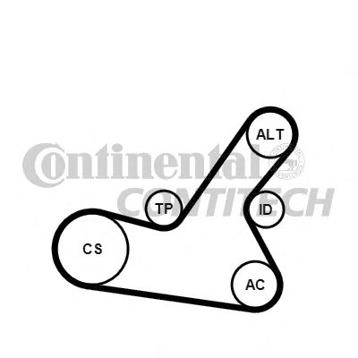 6PK1564K2 CONTITECH ремень поликлиновой с роликами, комплект