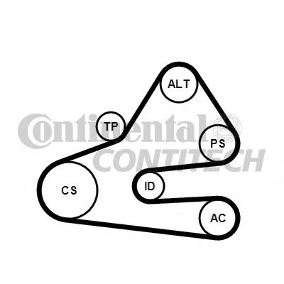 6PK1613K1 CONTITECH К-кт поликлиновый ремень + 2 ролика VW Crafter 11-