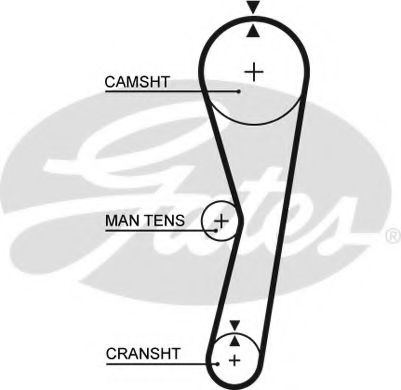 5024 GATES ремень грм