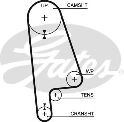 5233XS GATES Ремень ГРМ HONDA 1.6 87- (17x24)