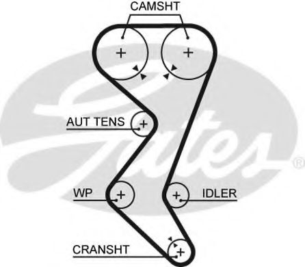 5528XS GATES Ремень ГРМ CITROEN PEUGEOT 2.-2.2 - (153x25)