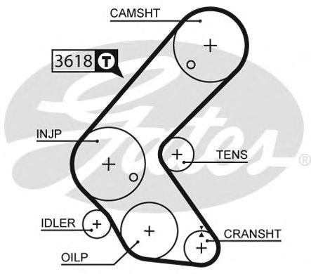 5563XS GATES Ремень ГРМ OPEL 1.7 - (131x25)