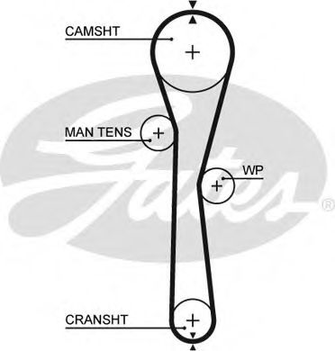 5577XS GATES Ремень грм