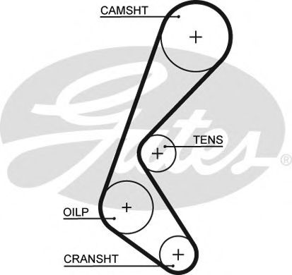 5628XS GATES ремень зубчатый