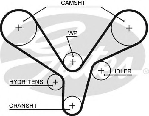 5636XS GATES Ремень ГРМ