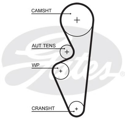 5670XS GATES Ремень ГРМ 567XS