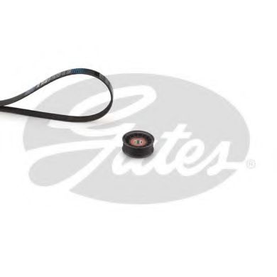 K016PK1019SF GATES -   Ford Focus III,C-Max