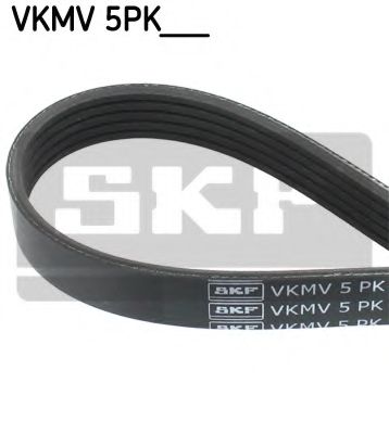 VKMV5PK1546 SKF поликлиновой ремень