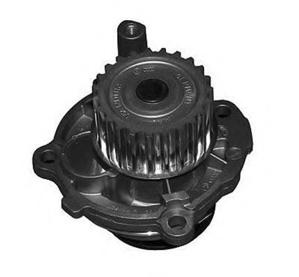 352316171209 MAGNETI MARELLI помпа водяная